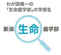 スクリーンショット 2026-02-16 211704.jpg