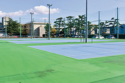 tennis court2024.jpg